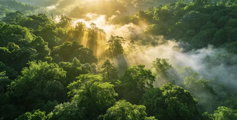 厦门肺癌（EGFR T790M)突变检测图片1
