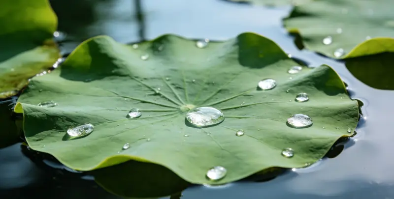 厦门乳腺癌21基因mRNA表达分析图片1